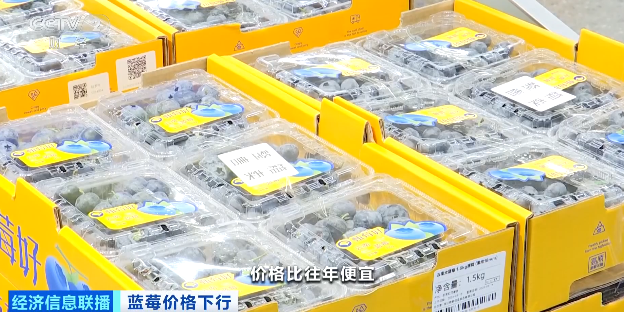 视频|降价超30%！蓝莓价格“跳水”