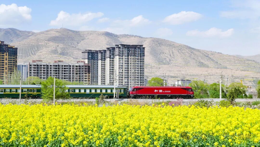 民间物议｜年产738亿块！天水，比麻辣烫更燃的是芯片